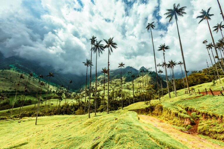 slow travel in the Cocora Valley Colombia