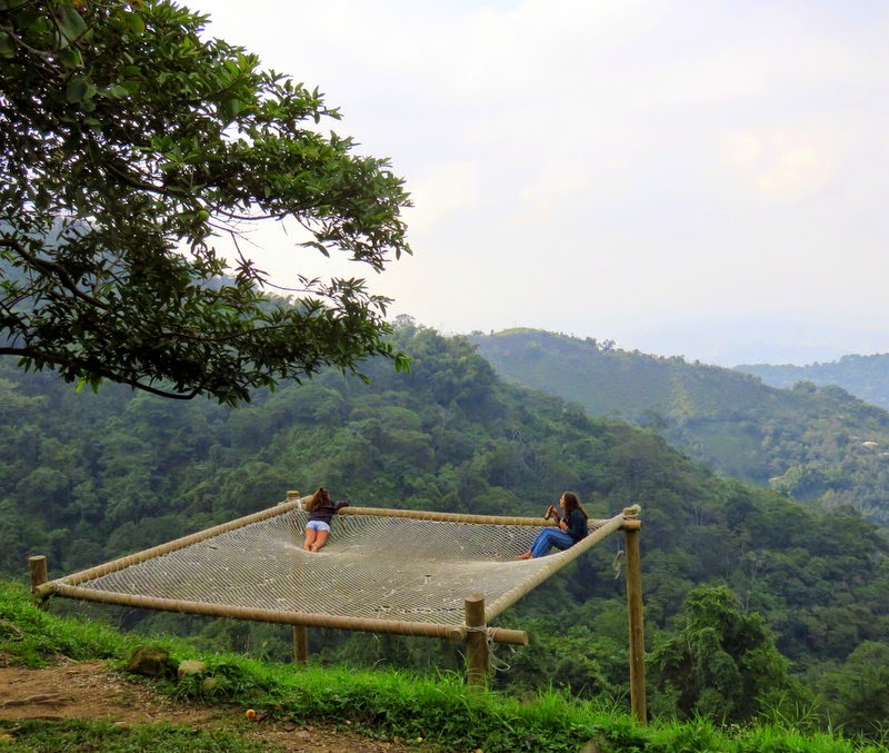 best-things-to-do-in-minca-giant-hammock 