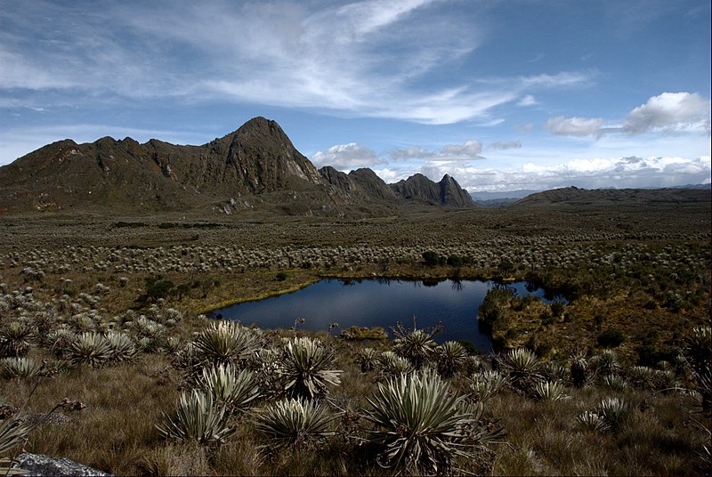 hidden gems of Colombia Páramo de Sumapaz